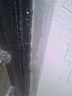 wierhouse 3200.jpg